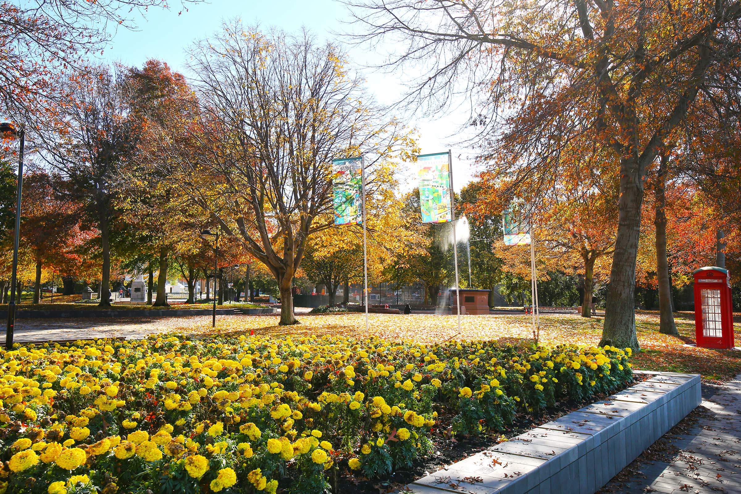 Christchurch Victoria Square Near Colombo