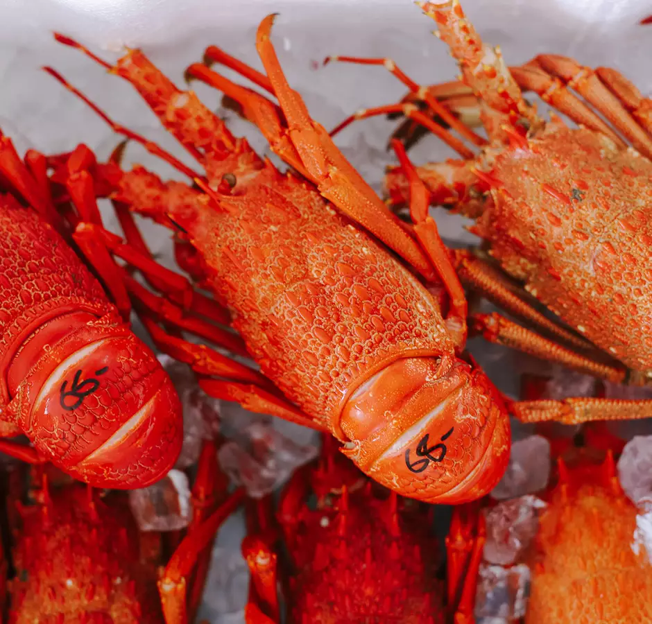 Nins Bin Crayfish