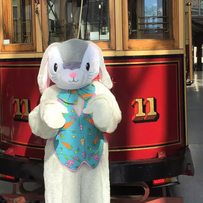 Easter Bunny and Christchurch Tram