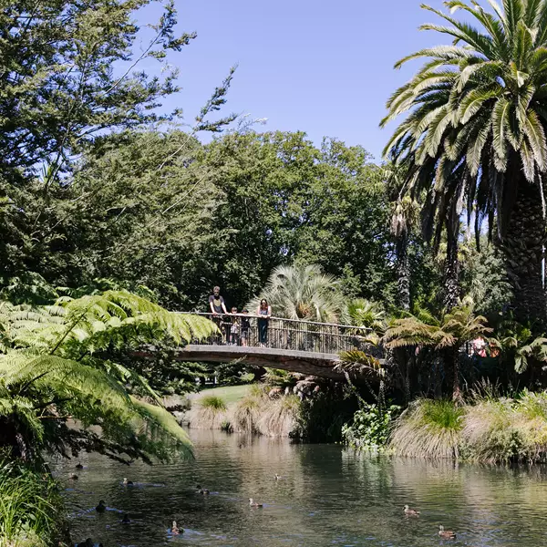 Christchurch Botanic Gardens Bridge