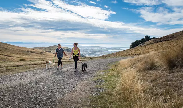 Port Hills Crater Rim